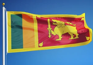 NEW SRI LANKA 3x5ft FLAG superior quality fade resist us seller - Picture 1 of 3