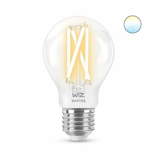 Lampada LED Smart Wifi E27 Globo trasparente Filamento WIreless Alexa Google 60W - Immagine 1 di 4