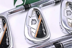 Wilson FG Tour V4 Irons / 4-PW / Stiff Flex True Temper Dynamic Gold Pro S300 - Picture 1 of 8