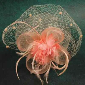 Fascinator Hut für Damen am Stirnband Hochzeit Tee Party Kentucky Derby Rennen - Bild 1 von 6