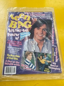 Teen Bag Magazin Februar 1978 Shaun Cassidy Poster Willie Ames Mark Hamil - Bild 1 von 4