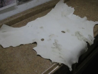  Загорелая оленьая кожа No 0011699 ряд 82 - Изображение 1 из 4