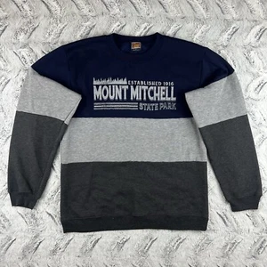 Vintage 90s Mount Mitchel State Park NC Sweatshirt Crewneck Blue Tipsy Small USA - Picture 1 of 13