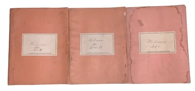 1878, ORIGINAL UNPUBLISHED MANUSCRIPT PLAY, by E. W. MCGLENEN, THE LOUAVES - Image 1 of 4