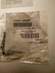 Yamaha Pan Head Schraube M6 x 35 mm DT TZ YZ FZ YFM YFS TT PW80 usw. 98507-06035 - Bild 1 von 2