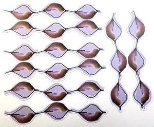 Cialde Semi Fiori Spaziali Sci Fi Colore Acqua K&Company 4 pz 6" x 2,5" Cartoncino - Foto 1 di 2