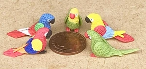 5 Small Mixed Polymer Clay Parrots Tumdee 1:12 Scale Dolls House Garden Birds - Picture 1 of 1