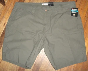 Dickies Duck Carpenter Shorts in Green - Sz 24W - New With Tags - Picture 1 of 4