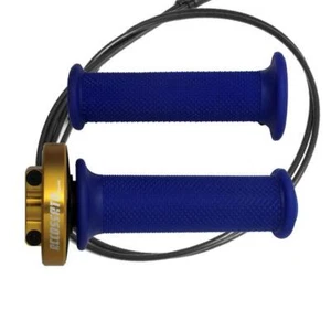 Accossato gold quick throttle control blue Ducati 749S/749R/749 DARK 2003-2006 - Picture 1 of 7