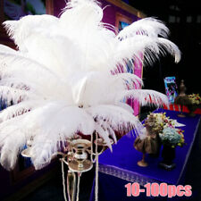 10-100pcs 25-30cm Large Ostrich Feathers Plume Craft Christmas Party Decorations