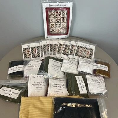 Sampler Blocco Trapunta del Mese con Tessuto Bellezza Tutto Intorno Incompleto - Immagine 1 di 4