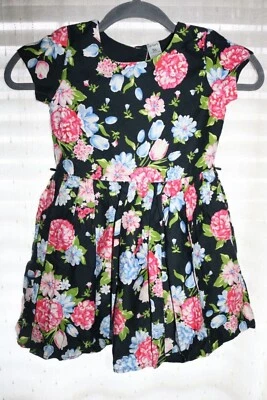 Carter’s 女孩 5T 码黑色连衣裙多色花卉印花 — 第 1/4 张图片