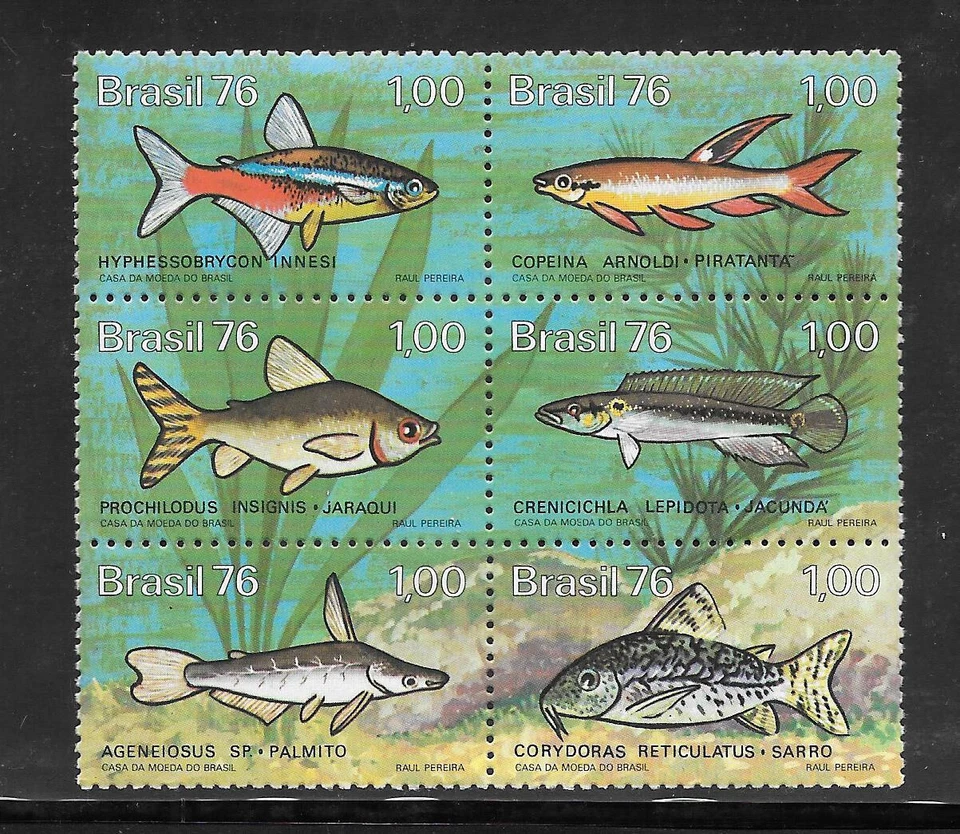 Бразилия 1976 Пресноводная Рыба Как новая NH Se-Tenant Блок из 6 #1460 - 1465 В комплекте - Изображение 1 из 1