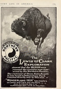 1904 Northern Pacific Railway Railroad Print Ad Lewis & Clark Bison Yellowstone - Picture 1 of 1
