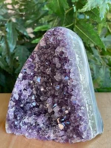 Geoda Cristal Racimo Amatista Uruguay Finamente Pulido, Elige un Tamaño: 0.5 a 4 Lb - Imagen 1 de 10