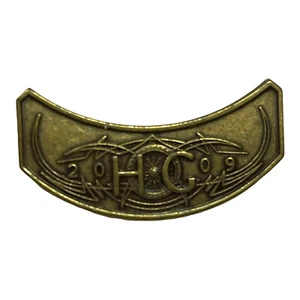 HOG Harley Owner Group 2009 Vest Jacket Hat Lapel Double Pin - Picture 1 of 6
