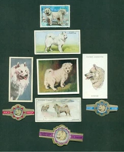 SAMOYED DOG CIGARETTE CARDS 3 CIGAR BANDS , 1 VIMS & 1 STAMP - Picture 1 of 2
