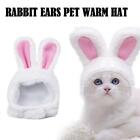 Pet Clothing Cat Hat Rabbit Hat Rabbit Ears Pet Warm Hat T9K4
