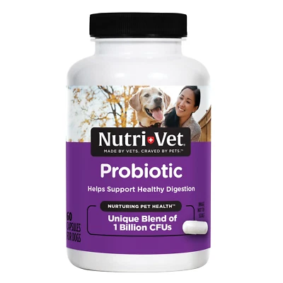 Probiotics Capsules for Dogs - Supports Digestive Health - for All Size Dogs - P - Image 1 of 4