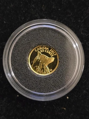 Moneda de oro puro Arctic Fox 2017 de 25 centavos de 0,5 g AU solamente Foto 1 de 2