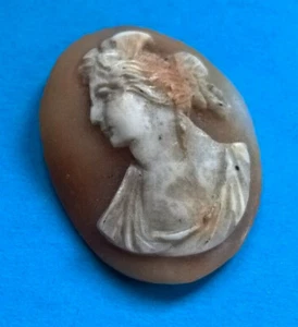 Ancien Fin Camée Coquillage Profil à Sertir - Bild 1 von 2