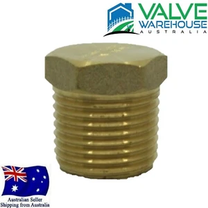 DR Brass Watermarked Hex Plug With Male BSPT Thread - Size Range: 1/8" to 4" - Picture 1 of 3