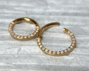 1pc Implant Grade Titanium Opal Paved Front Hinged Segment Ring Septum Clicker - Picture 1 of 8