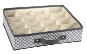 ORGANIZER 16 POSTI CONTENITORE TNT ARMADIO CRAVATTE CALZINI ACCESSORI 35*27*9cm - Foto 1 di 13
