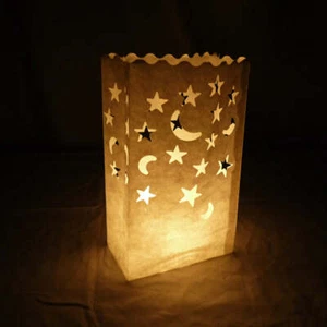 Quasimoon Star Mond Papier Leuchten/Leuchten Laterne Taschen Pfadbeleuchtung (1... - Bild 1 von 3