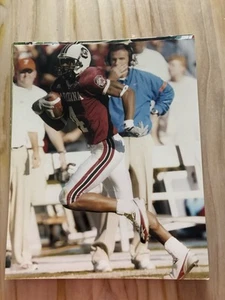Sidney Rice South Carolina Gamecocks 8X10 PHOTO - Picture 1 of 1