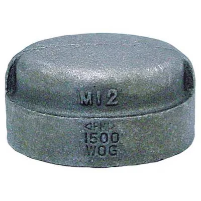 Anvil 0318901402 Cap Cap, 2" Pipe, Fnpt, Malleable Iron, Class 3000 - Image 1 of 2