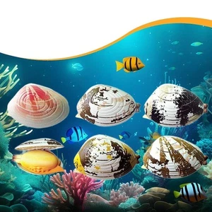 6x Simulation Clams Funny Outdoor Sprinkler Toys for Garden Party Favor Yard - Picture 1 of 5
