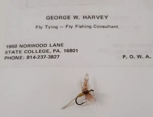 Eine gelbe Adams Trockenfliege gebunden von Fliegenfischerlegende George Harvey aus Penn State - Bild 1 von 5