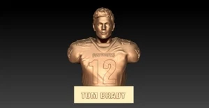 Tom Brady Bust 3d Printed  - Picture 1 of 1