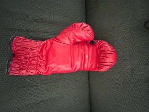 Roy Jones Jr Autographed Hand Signed Red Everlast Boxing Glove JSA Certified - Picture 1 of 5
