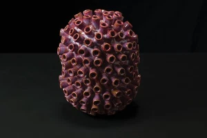 Octopian Array: Terracotta Sculpture - Picture 1 of 10