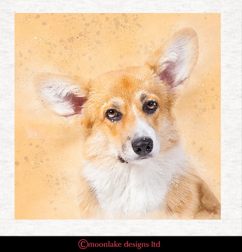 MOONLAKE DESIGNS Hund - Corgi Aquarell Stoff Basteln Paneele in 100% Baumwolle oder Polyester