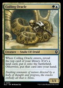 MTG - COILING ORACLE - Bloomburrow Commander (C) - Picture 1 of 1