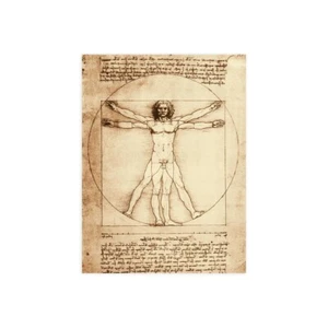 Stampa su Tela su Carta Poster o Quadro Leonardo da Vinci Vitruvian Man - Imagen 1 de 2