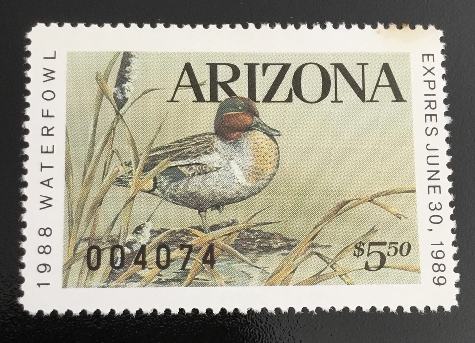 ARIZONA STATE DUCK  #2    -  MINT NEVER HINGED  -   -  SCV:  $12.00 - Image 1 of 1