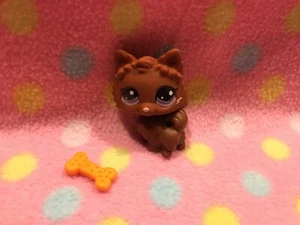 Littlest Pet Shop LPS Haustier brauner POMERANIAN Hund mit Knochen grüne Augen Neu! Hasbro - Bild 1 von 3