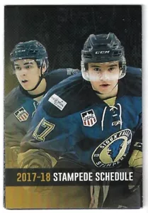 2017-18 Sioux Falls Stampede USHL Hockey Schedule !!! Orthopedic Institute - Picture 1 of 1