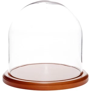 Plymor 8" x 8" Glass Display Dome Cloche (Walnut MDF Base) - Picture 1 of 2