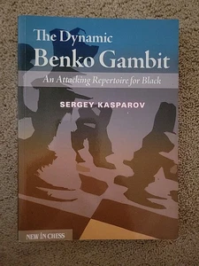 Das dynamische Benko-Gambit: Angriffsrepertoire für schwarzes Sergej Kasparow-Schach - Bild 1 von 2