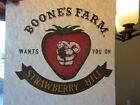 BOONE'S FARM WANTS YOU ON SH iron on tee shirt transfer full size vintage 70s 