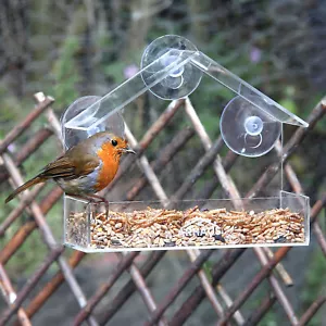 Glass Window Bird Feeder Station Seed Peanut Mealworm Suction Perspex Clear View - Picture 1 of 9