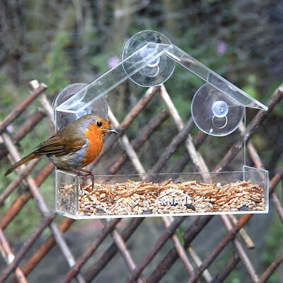 Glass Window Bird Feeder Station Seed Peanut Mealworm Suction Perspex Clear View - Image 1 of 4