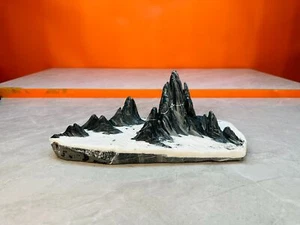 China Natural Mountain stone Bonsai Suiseki lingbi stone white灵璧石 30 12 12 - Imagen 1 de 7