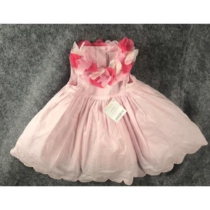 Gymboree Baby Mädchen Ostern Blumen Blütenblatt rosa Jakobsmuschel Kleid Größe 0-3 Monate NEU ETIKETT - Bild 1 von 5