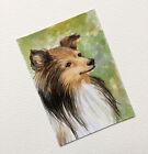 aceo original painting dogs Collie dog. Watercolor drawing of animals.